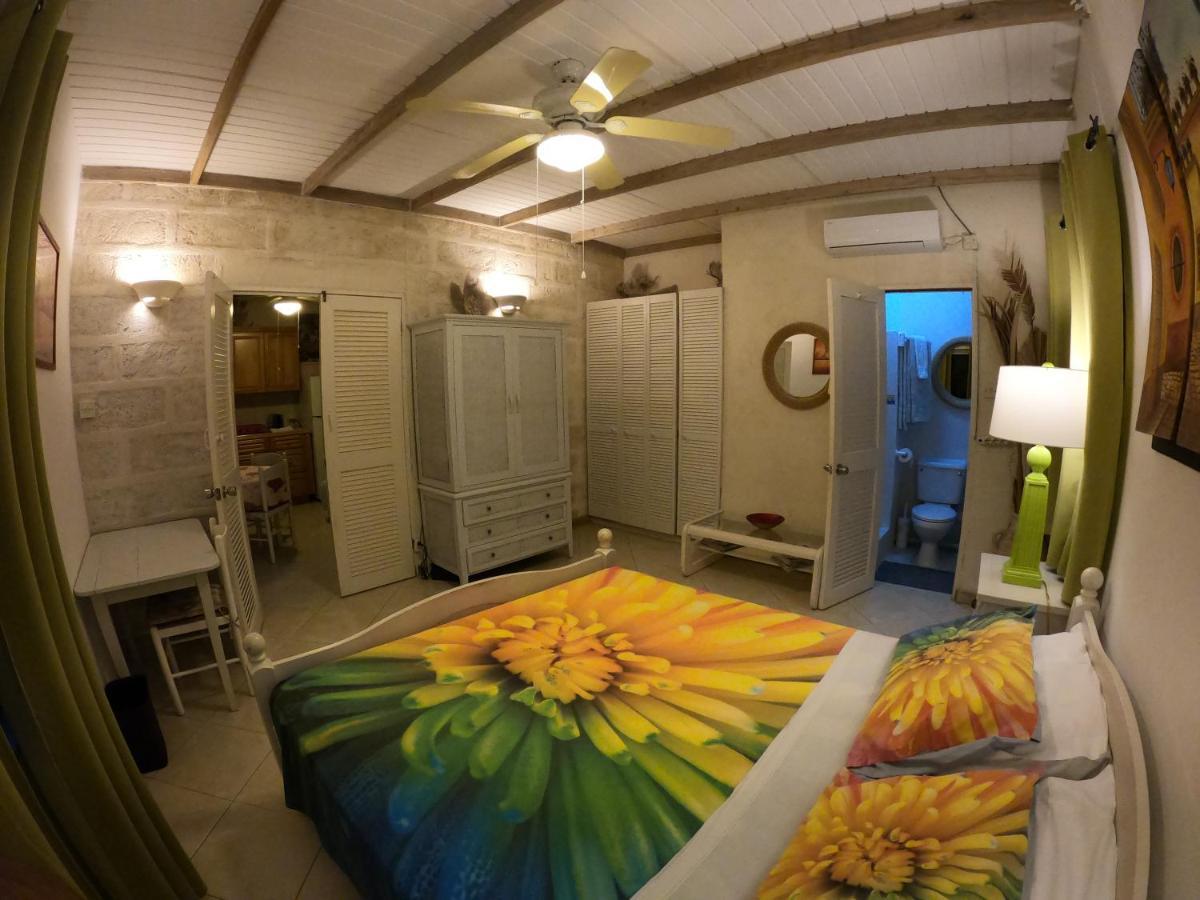 Yellow Bird Apartment 크리스트 처치 외부 사진